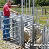 2-Way Drafting Sheep Handling Race