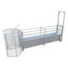 Sheep Handling Race with Footbath