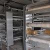 Automatic Manure Belt Scraper for Poultry Systems