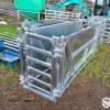 3-Way Sheep Sorting Gate