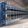 Multi-Tier Poultry Manure Belt Dryer