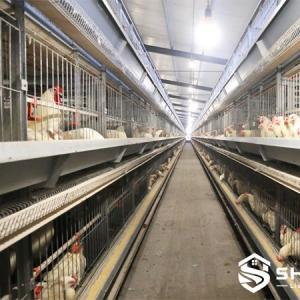 Male & Female Natural Mating Breeder Cage - SHEWUYOU Livestock Equipment