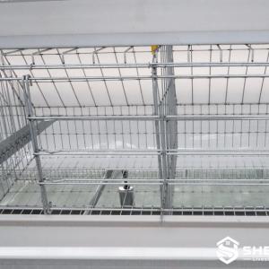 Automatic A-Type Layer Cage System - SHEWUYOU Livestock Equipment