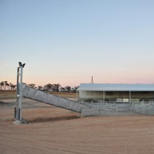 Heavy-Duty Commercial Sheep Loading Ramp - SHEWUYOU Livestock Equipment