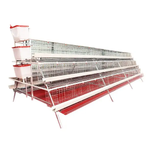 Manual A-Type Layer Cage System for Poultry Farms - SHEWUYOU Livestock Equipment