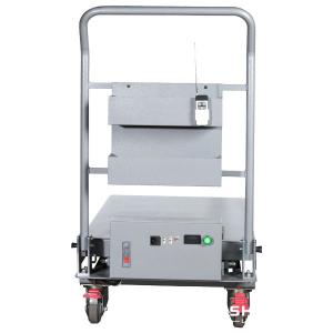 Safety-Rail Poultry Lifting Inspection Platform - SHEWUYOU Livestock Equipment