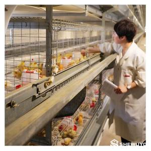 Pullet Cage Rail Inspection Trolley - SHEWUYOU Livestock Equipment