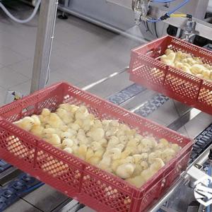 Conveyor-Type Automatic Spray Vaccinator - SHEWUYOU Livestock Equipment