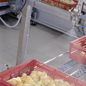 Stand-Alone Chick Box Spray Vaccinator - SHEWUYOU Livestock Equipment