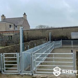 Heavy-Duty Fixed Sheep Handling Race - SHEWUYOU Livestock Equipment
