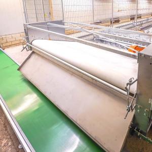 Breeder House Rolling Manure Belt System - SHEWUYOU Livestock Equipment