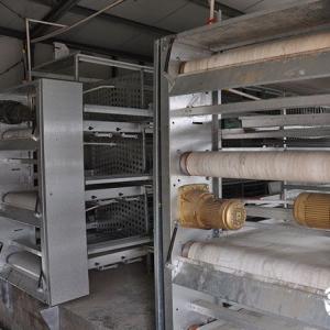 Automatic Manure Belt Scraper for Poultry Systems - SHEWUYOU Livestock Equipment