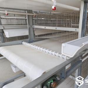 In-Cage Manure Belt Drying System - SHEWUYOU Livestock Equipment