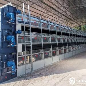 Multi-Tier Poultry Manure Belt Dryer - SHEWUYOU Livestock Equipment