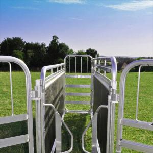 Non-Return Sheep Sorting Gate - SHEWUYOU Livestock Equipment