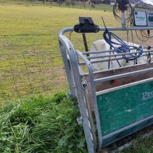 EID Automatic Sheep Sorting Gate - SHEWUYOU Livestock Equipment