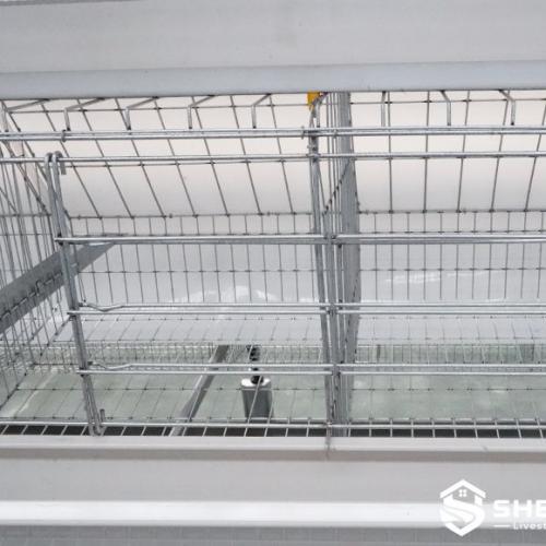 Automatic A-Type Layer Cage System - SHEWUYOU Livestock Equipment