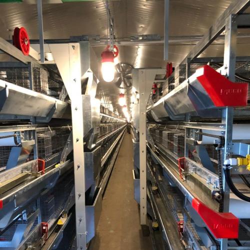 Broiler Cage Inspection Trolley for Multi-Tier Poultry Houses - SHEWUYOU Livestock Equipment