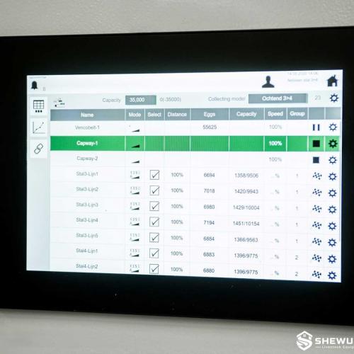 Automatic Egg Collection Control System - SHEWUYOU Livestock Equipment