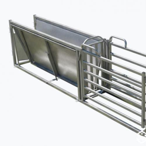 Handling Race with Weighing System - SHEWUYOU Livestock Equipment