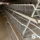 Breeder Cage