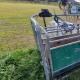 Sheep Sorting Gates