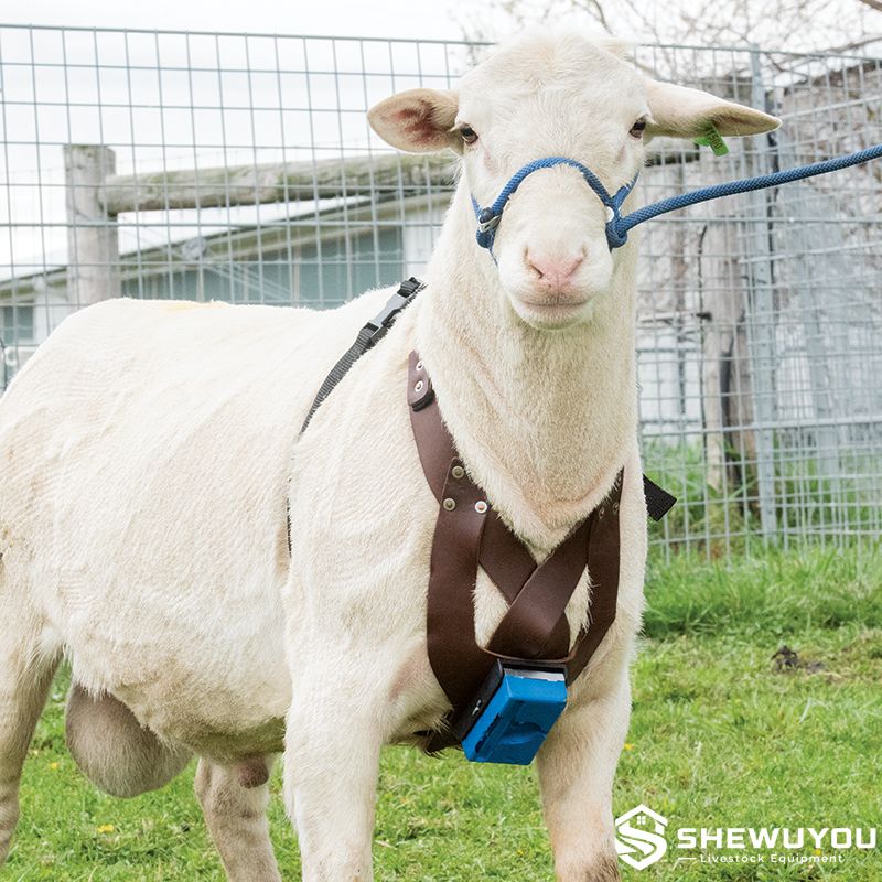 Ram Marking Crayon for Sheep Breeding Harness
