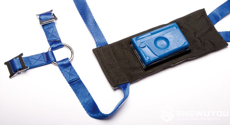 Ram Marking Harness with Crayon Holder