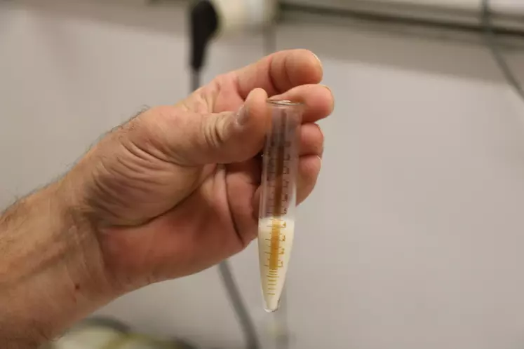 Ram Semen Sample in Graduated Laboratory Tube