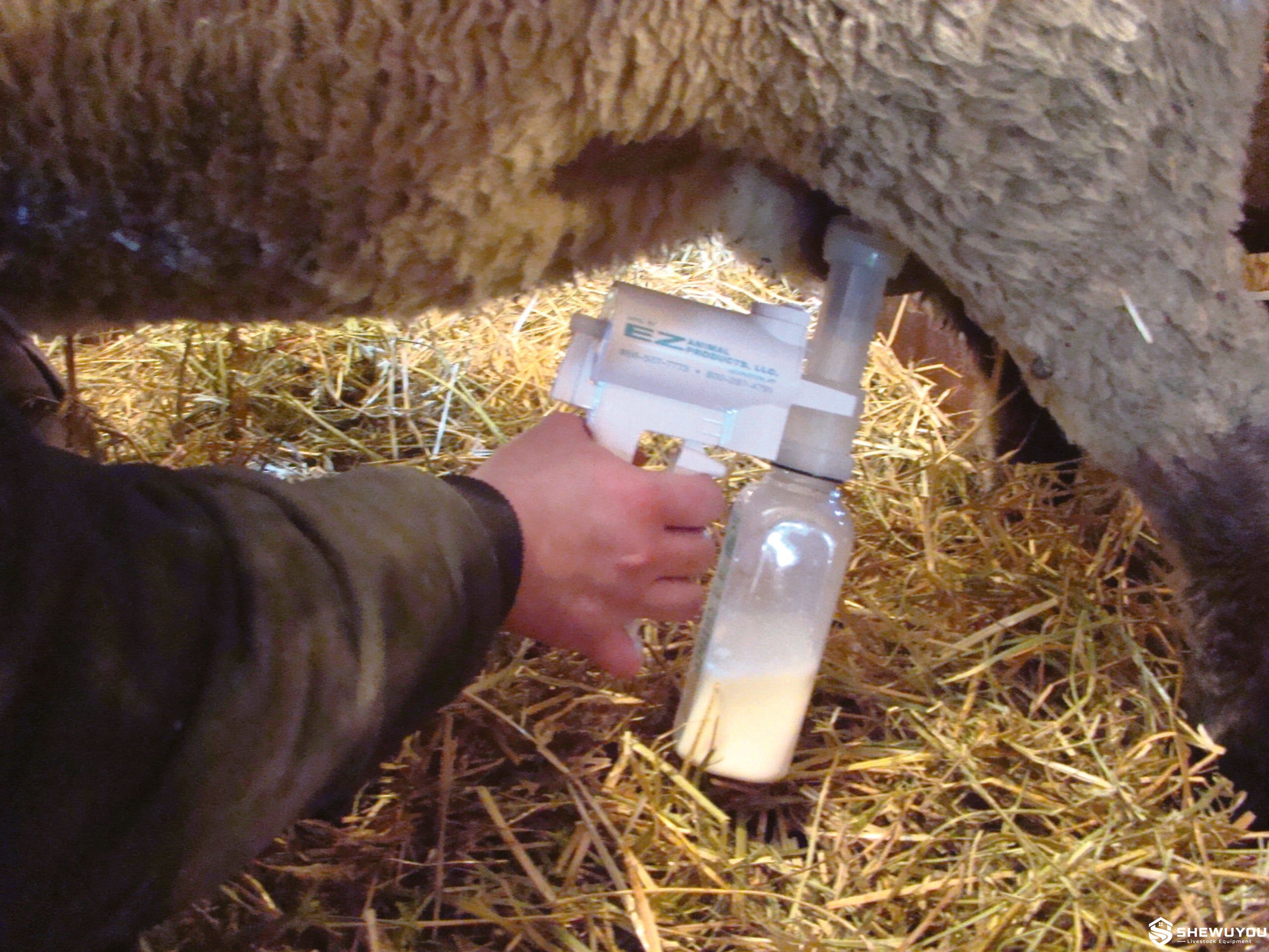 Manual Sheep Colostrum Collection Pump