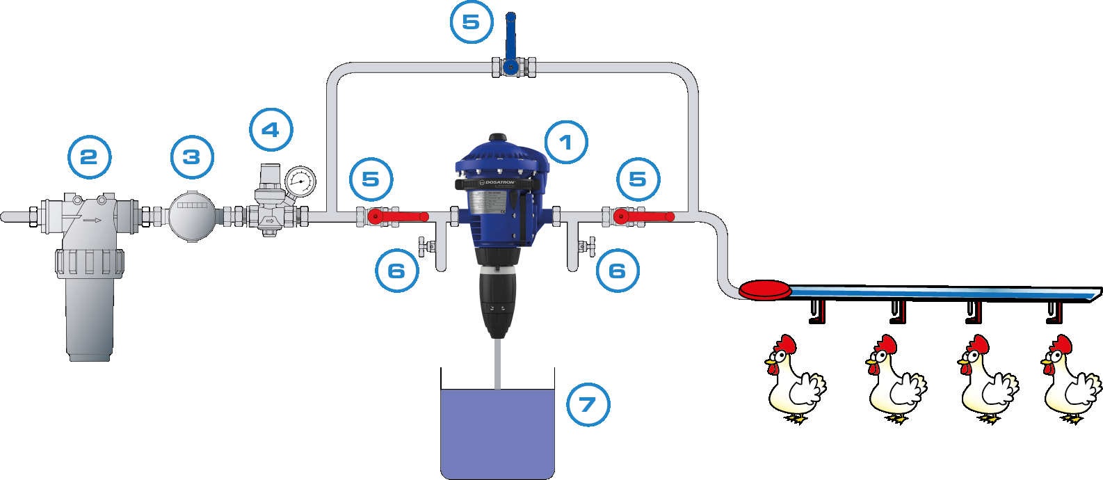 Poultry Drinking Water Dosing System Installation