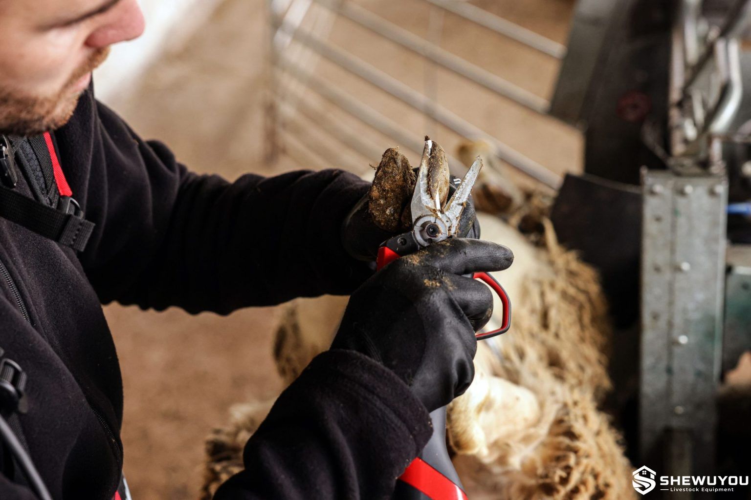 Electric Sheep Hoof Trimmer
