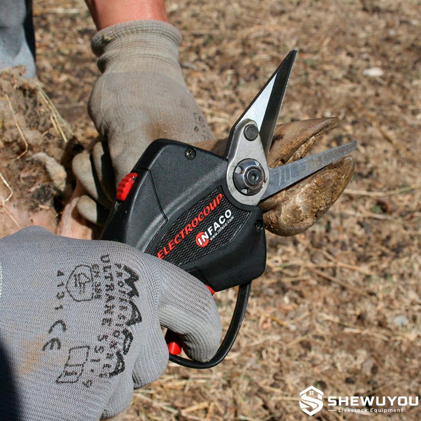 Battery powered sheep hoof trimming tool
