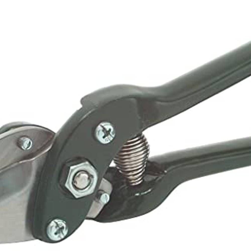 Heavy-Duty Sheep Hoof Shears