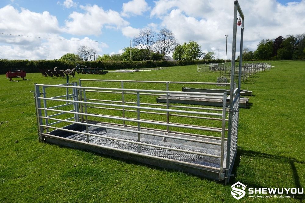 Galvanized Stand-In Sheep Footbath System