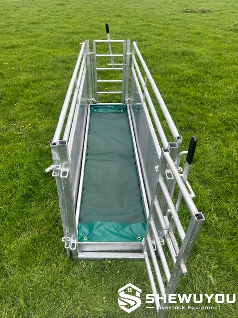 Sheep Race Footbath System