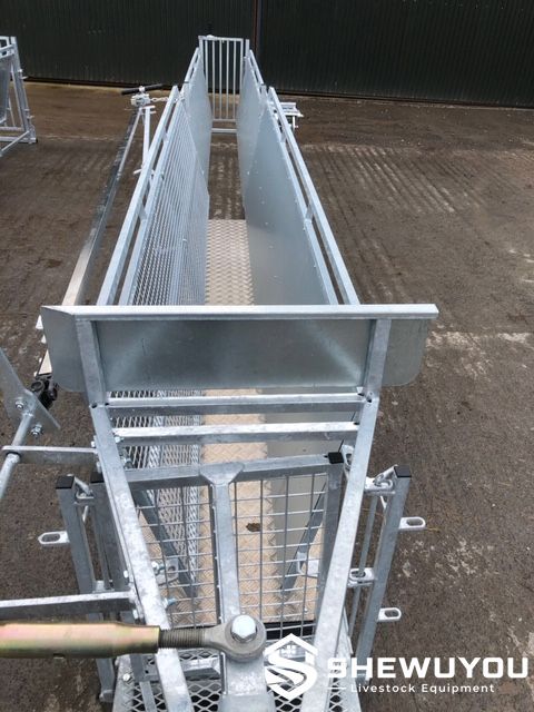 Sheep Handling Race Footbath Equipment