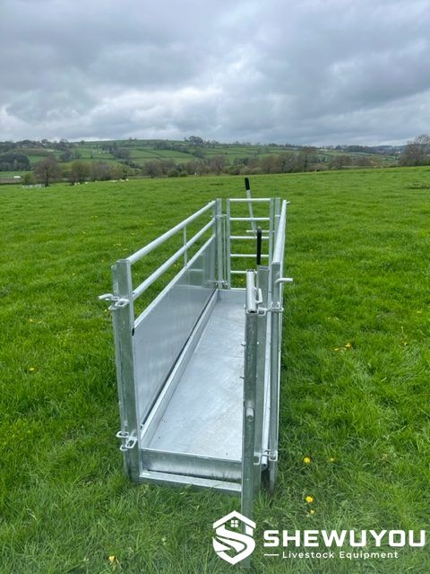 Permanent Sheep Footbath System