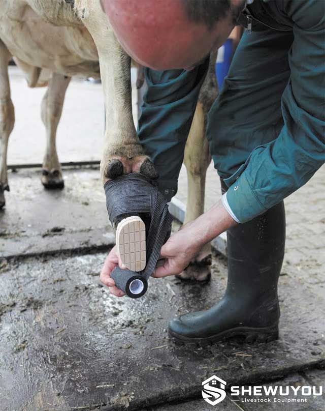 Hoof Treatment Bandage for Livestock
