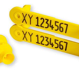 RFID MiniLoop Sheep Ear Tag Detail