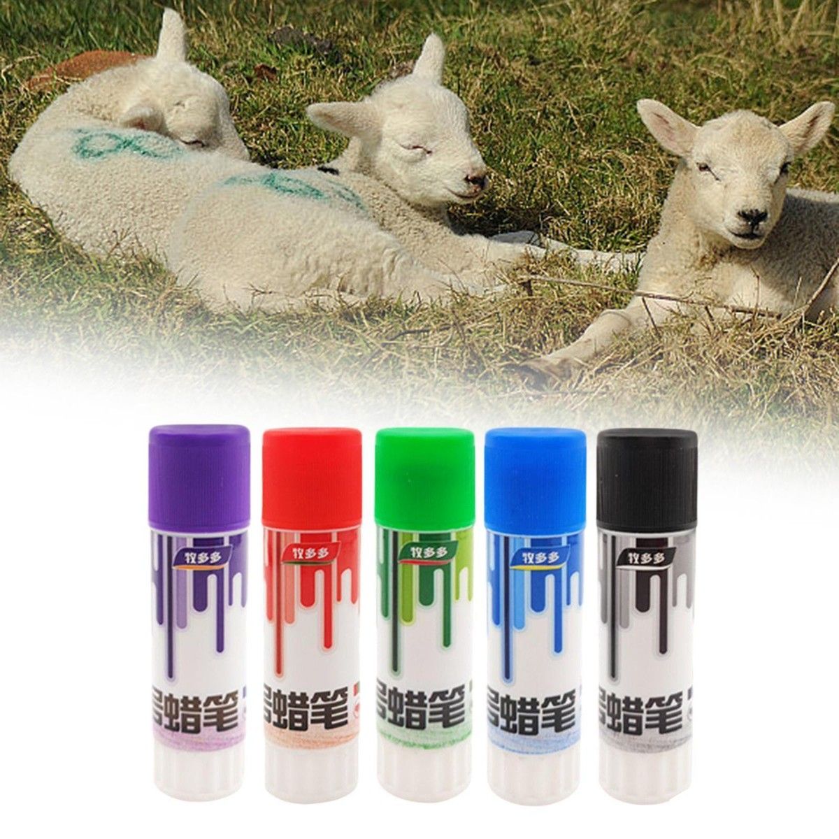 Colored Sheep Livestock Marking Crayon Set