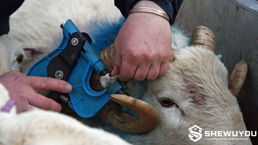 Sheep DNA Tissue Sampling Ear Tag Applicator