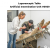 Sheep Laparoscopic AI Cradle
