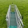 Sheep Race Footbath System