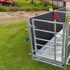 Automatic Sheep Footbath System
