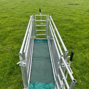 Sheep Race Footbath System - SHEWUYOU Livestock Equipment