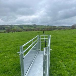 Permanent Sheep Footbath System - SHEWUYOU Livestock Equipment