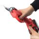 Sheep Hoof Shears