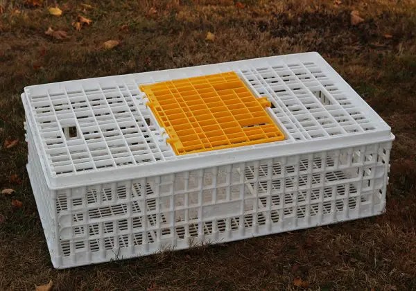 Live Chicken Transport Crate - SHEWUYOU Livestock Equipment