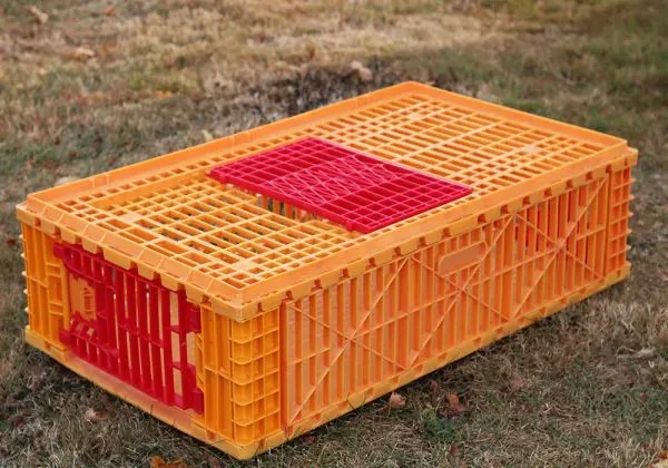 Fast-Fill Poultry Transport Crate - SHEWUYOU Livestock Equipment